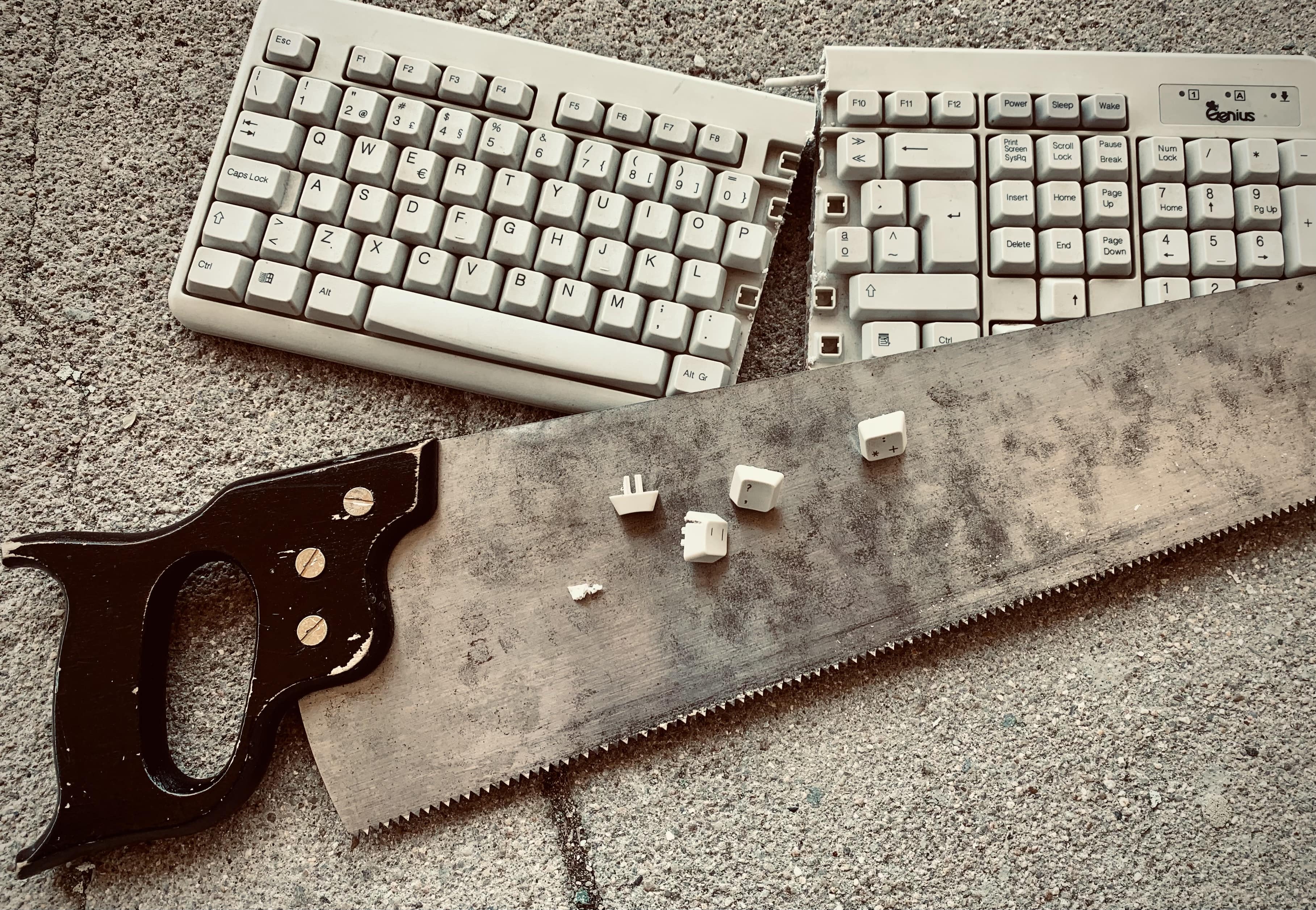 Projecto <i>Corporalidade, Temporalidade e Pensamento</i> | Escola Secundária José Régio | 2025